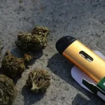 Snack Break: Fan-Favorite Store Treats You Have to Try