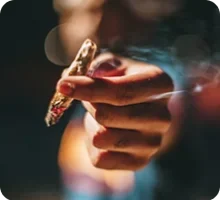 New Releases Blueberry